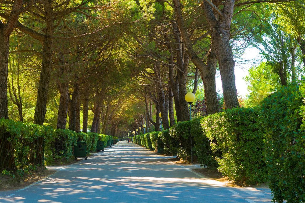 New Campsite In Camping Ca' Savio Cavallino-Treporti Exterior foto